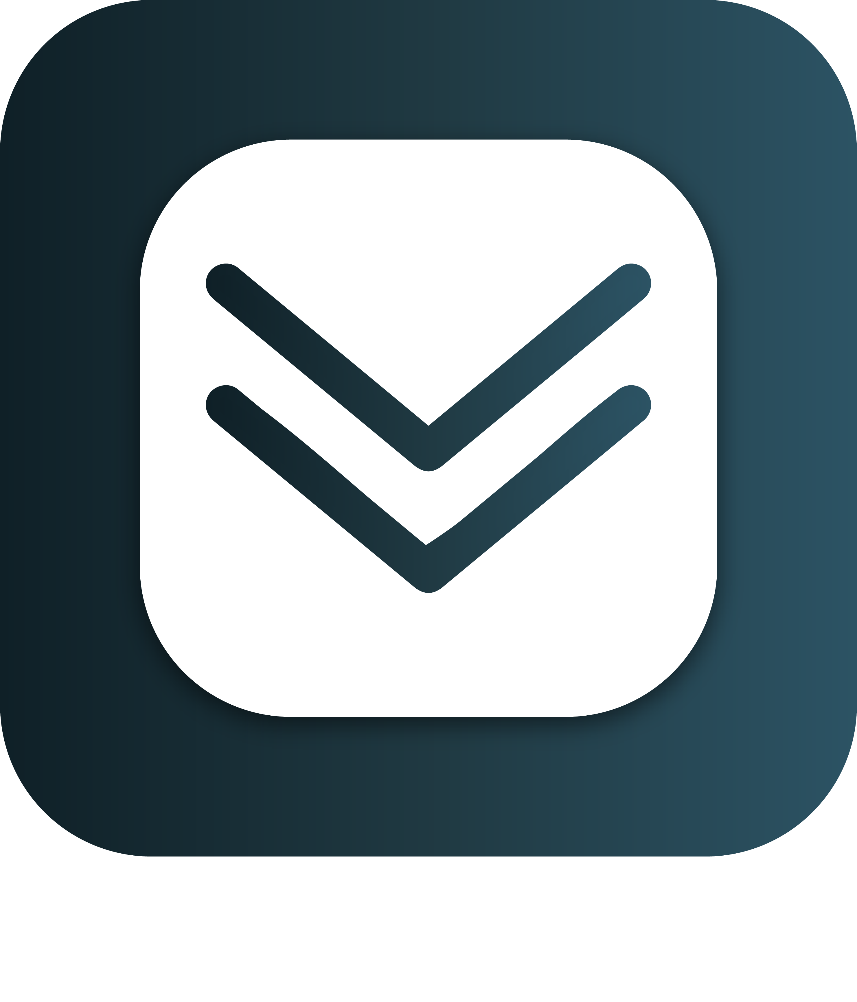 تنظيم